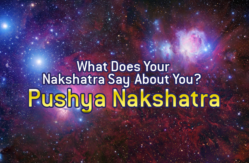 nakshatra horoscope software